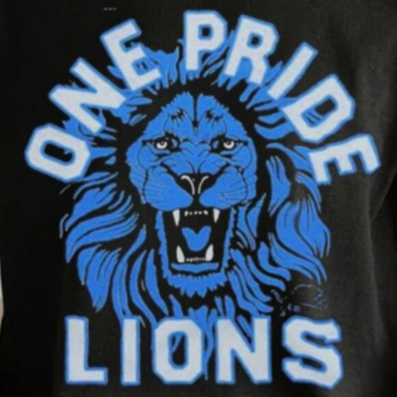 Detroit Lions One Pride 2024 Football Season Playoffs Fan Game Day Graphic Shirt - Picture 2 of 5